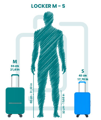 Estimated size of luggage you can store on a medium luggage locker